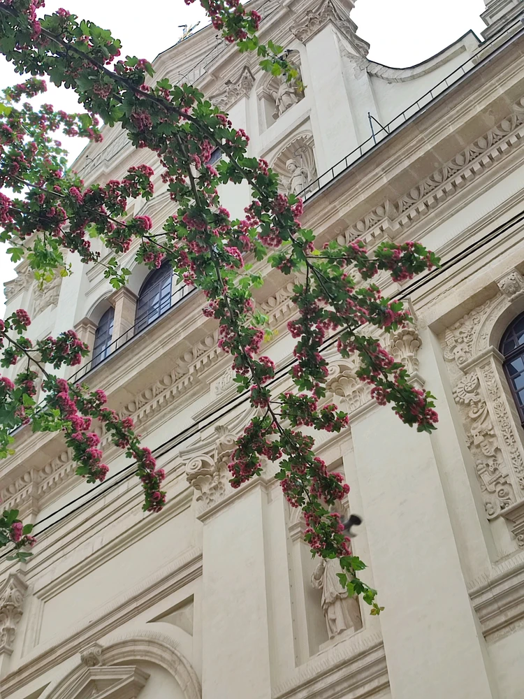 GIF uploaded by Andrii