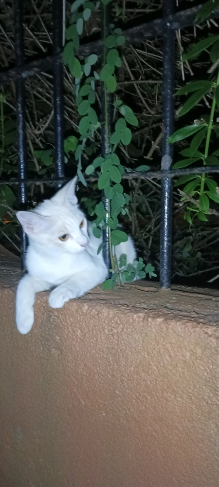 GIF uploaded by Khyr