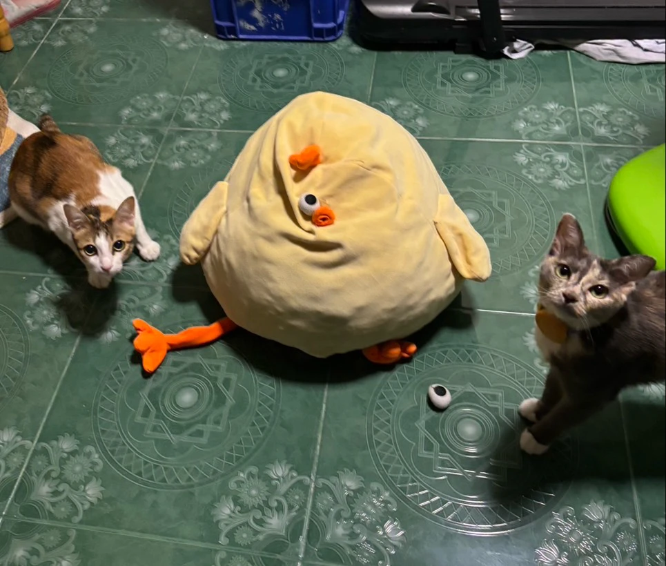 GIF uploaded by Pat♡