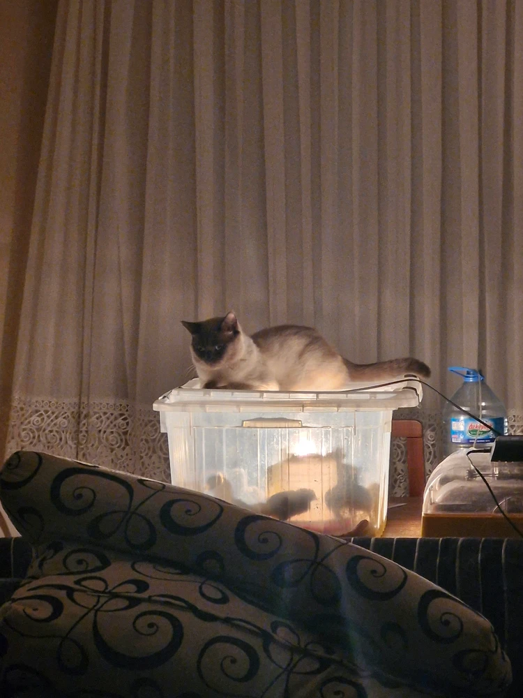 GIF uploaded by Aslı