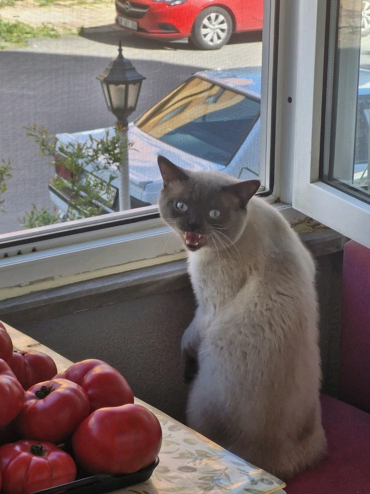 GIF uploaded by Aslı