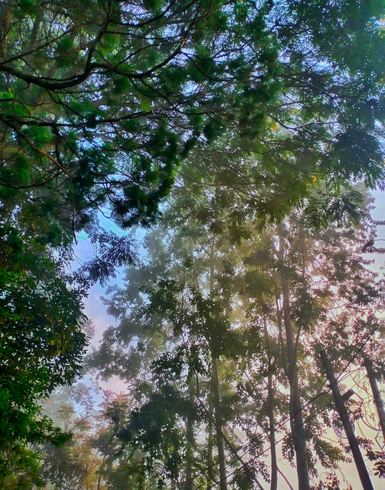 GIF uploaded by Yash