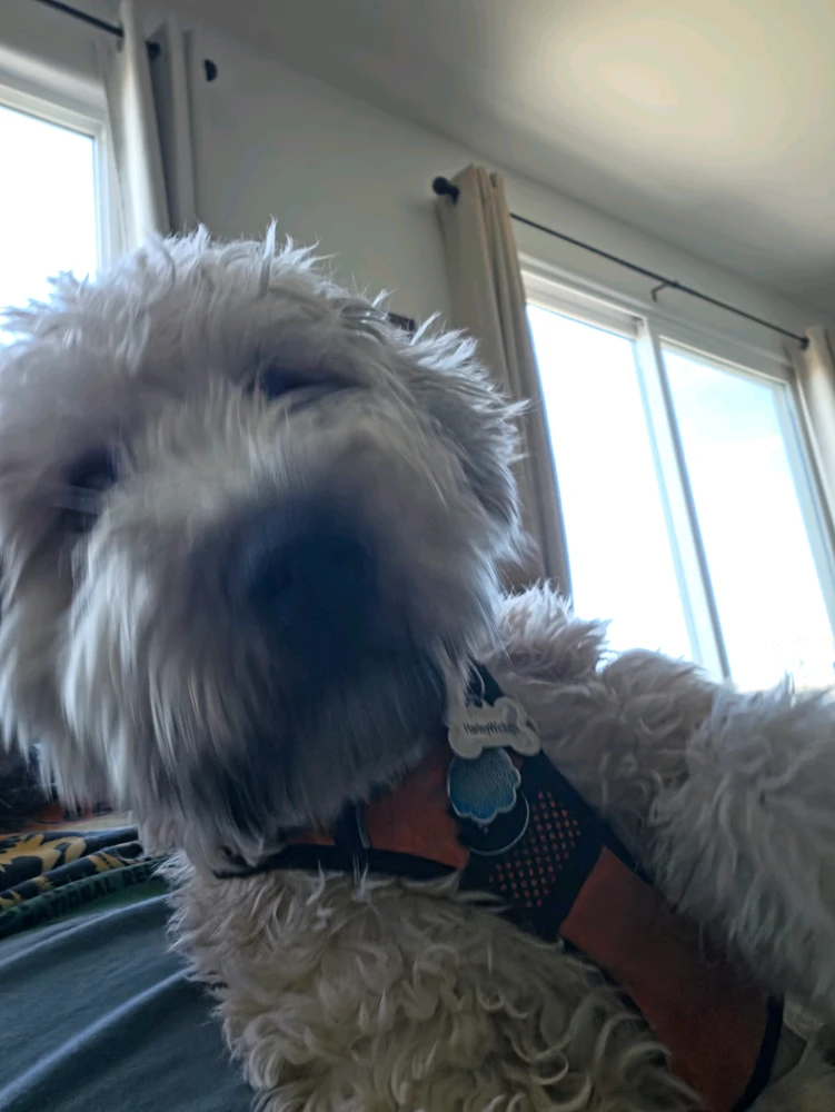 GIF uploaded by AJ