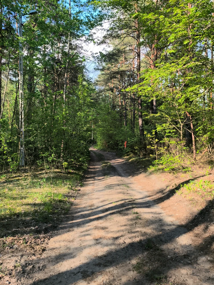 Image uploaded by Katarzyna