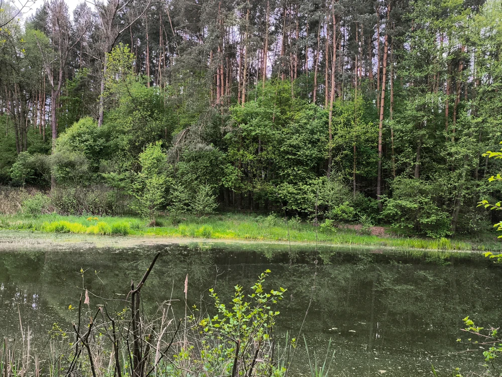 Image uploaded by Katarzyna