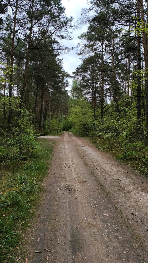 Image uploaded by Katarzyna