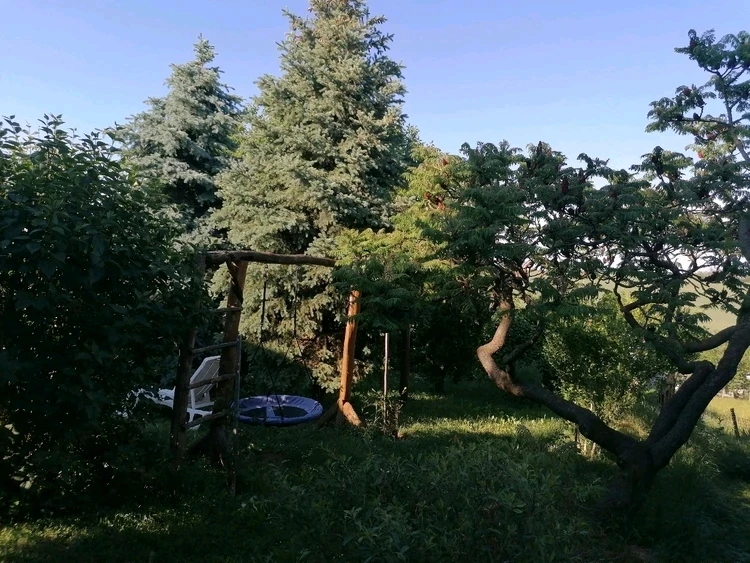 GIF uploaded by Szabolcs