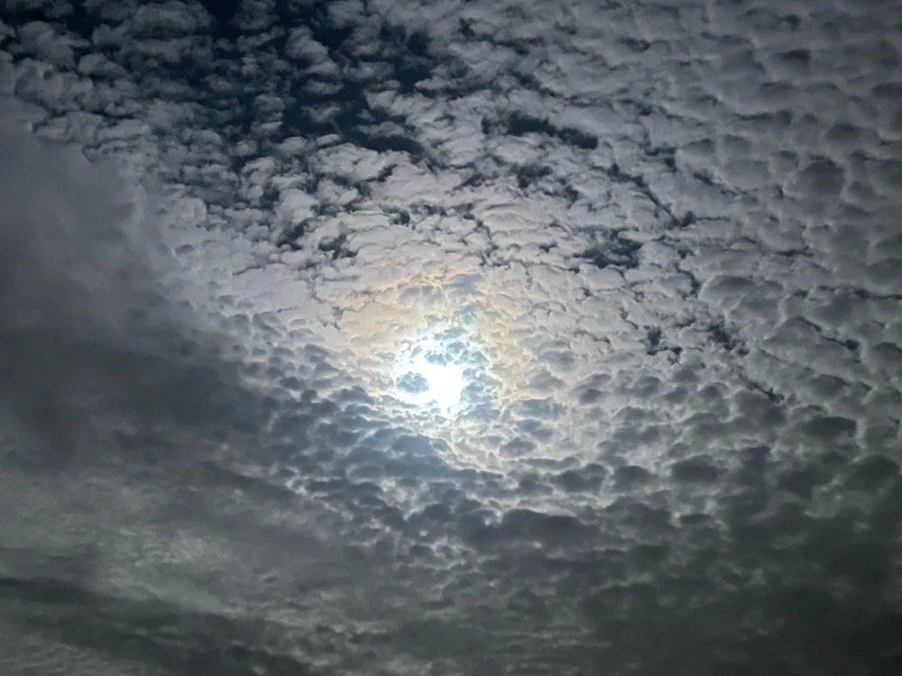 GIF uploaded by Morgan