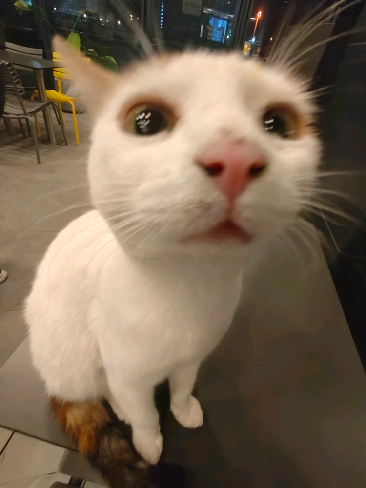 GIF uploaded by Orkun