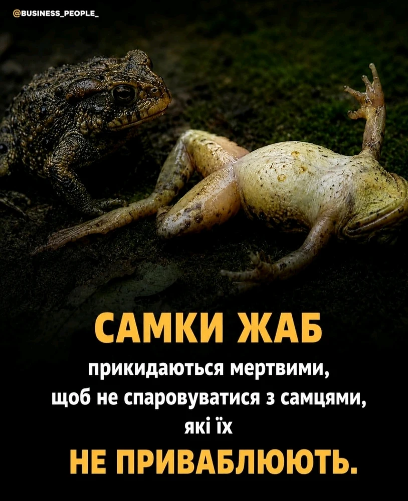 Зображення завантажив Julia