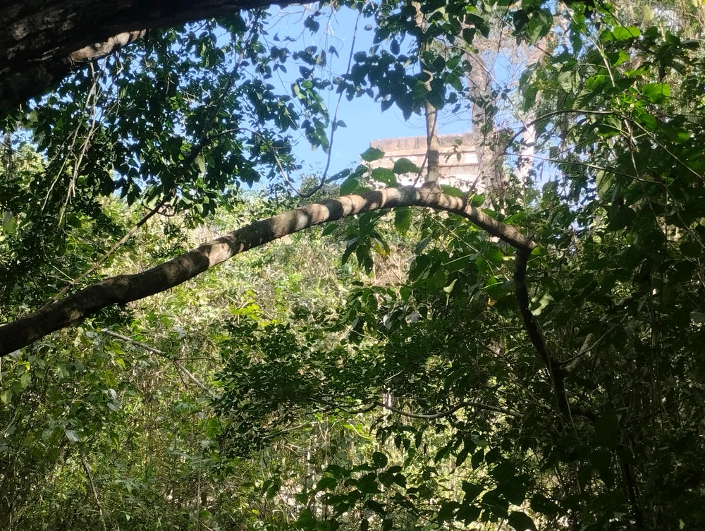 Imatge pujada per Jonny