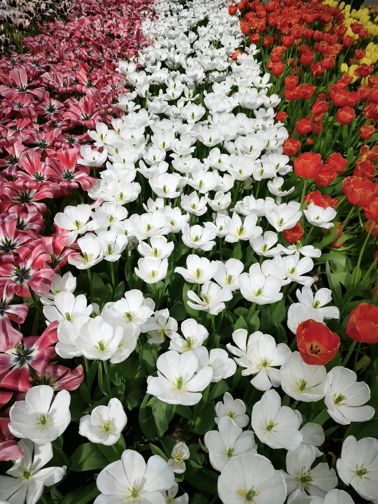 Image uploaded by Bonnie