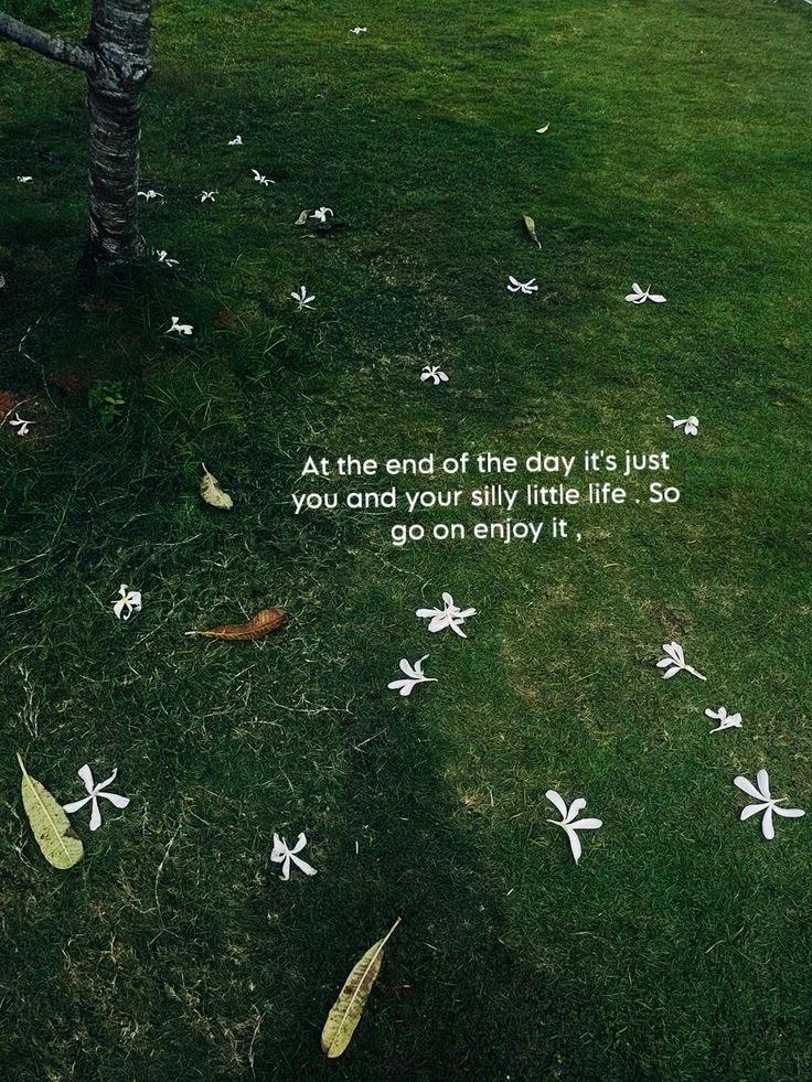 GIF uploaded by moonveil~