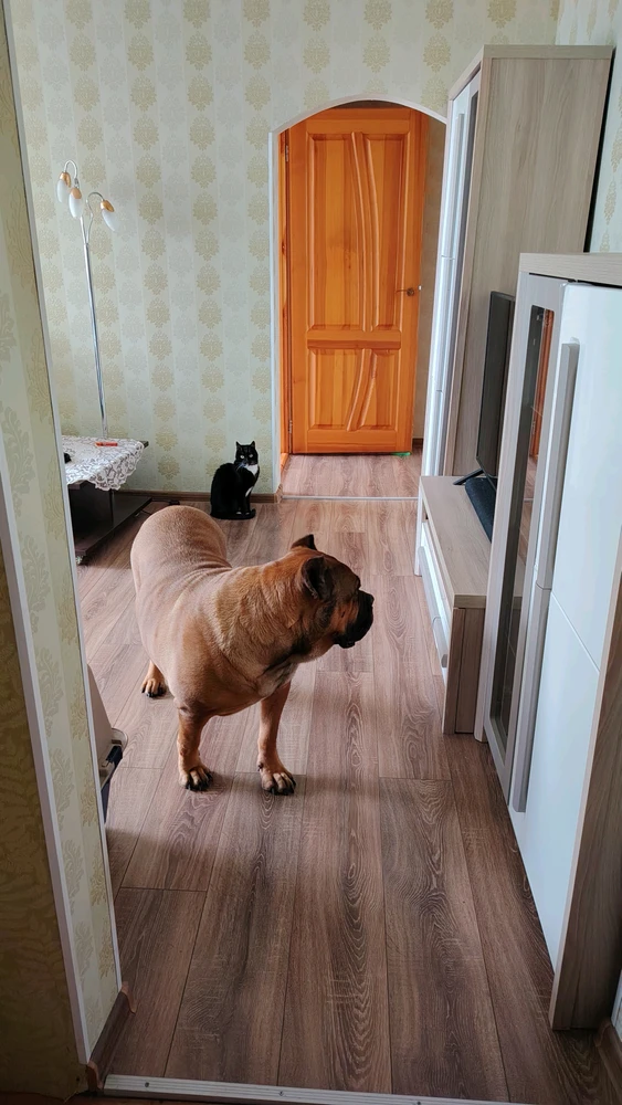 GIF uploaded by Aleks