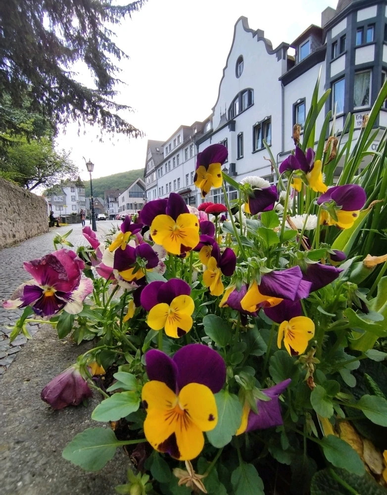 GIF uploaded by Oksana