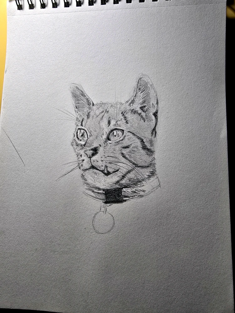 GIF uploaded by Alfred