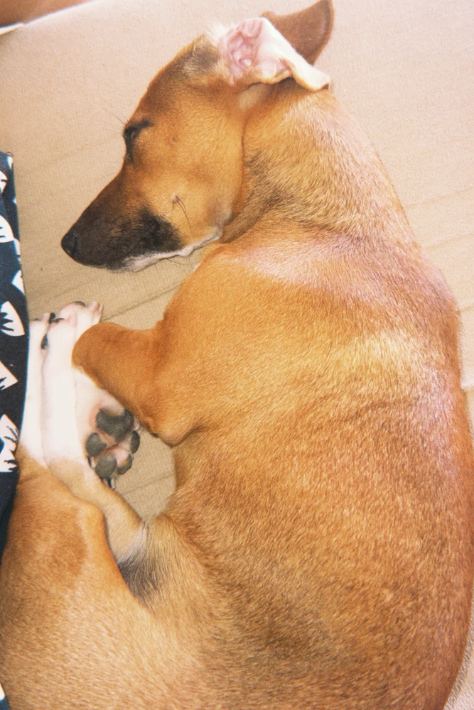 GIF uploaded by Raissa