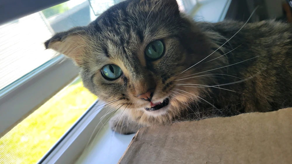 GIF uploaded by Dante