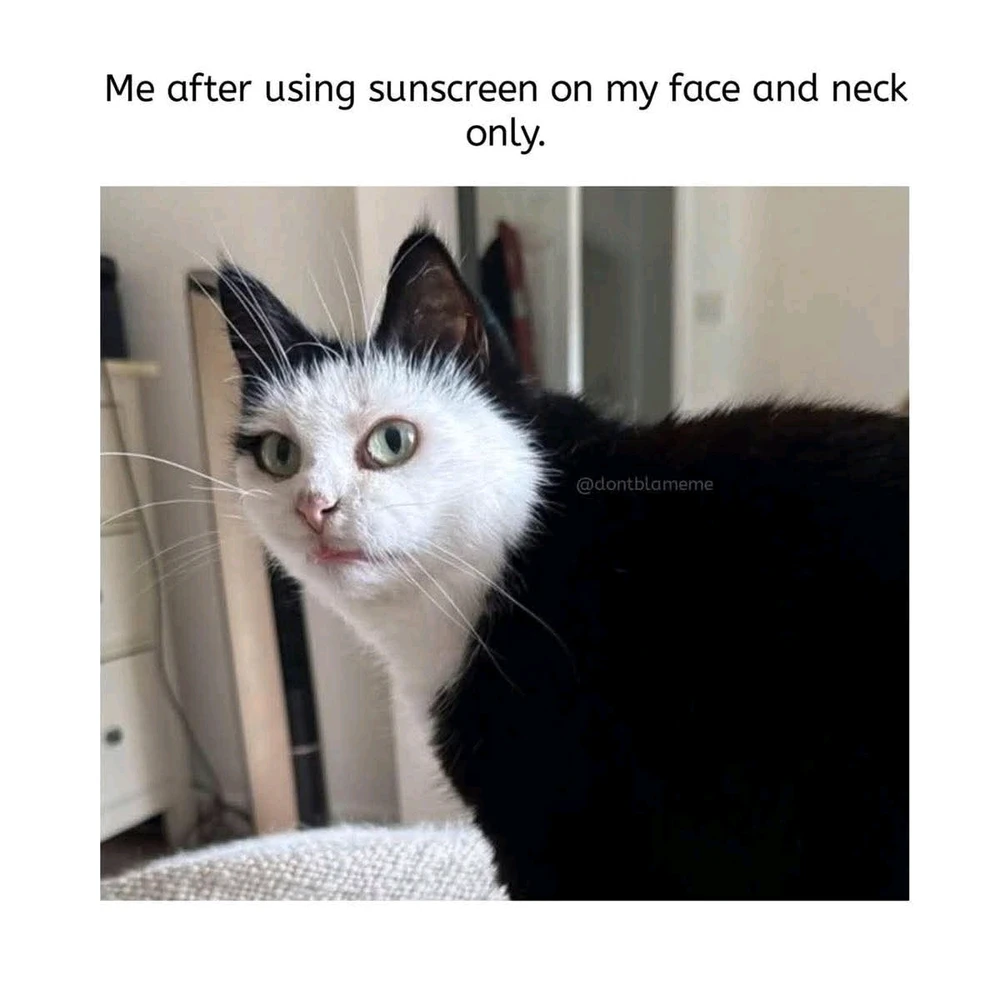 GIF uploaded by Marcus
