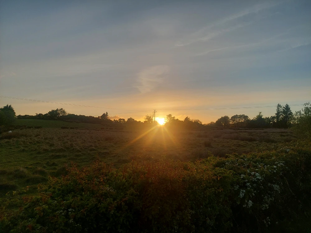 Image uploaded by Euan