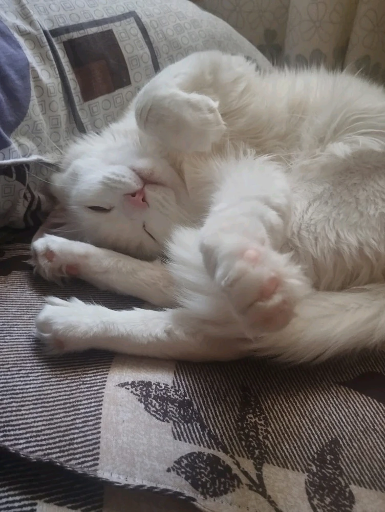 GIF uploaded by Kun iheb