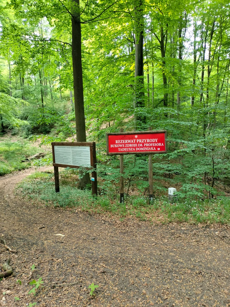 Image uploaded by Koestring