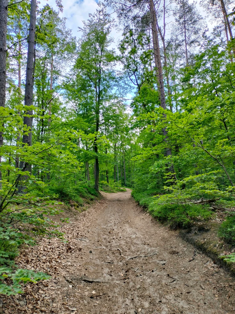 Image uploaded by Koestring