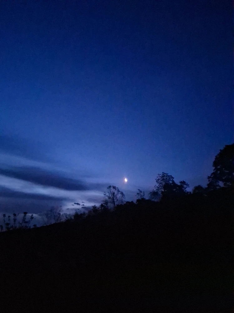 Image uploaded by Twopercentnorseman