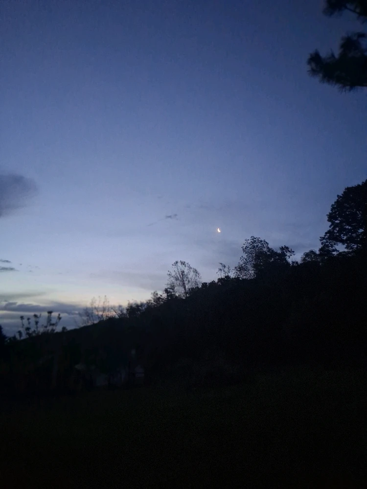 Image uploaded by Twopercentnorseman