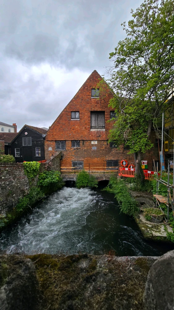 Image uploaded by J