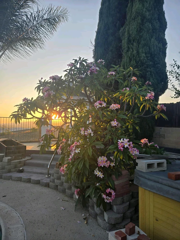 GIF uploaded by K