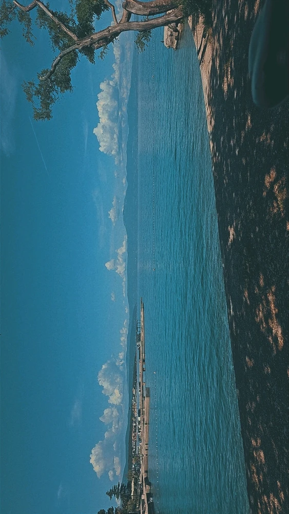 GIF uploaded by Anica