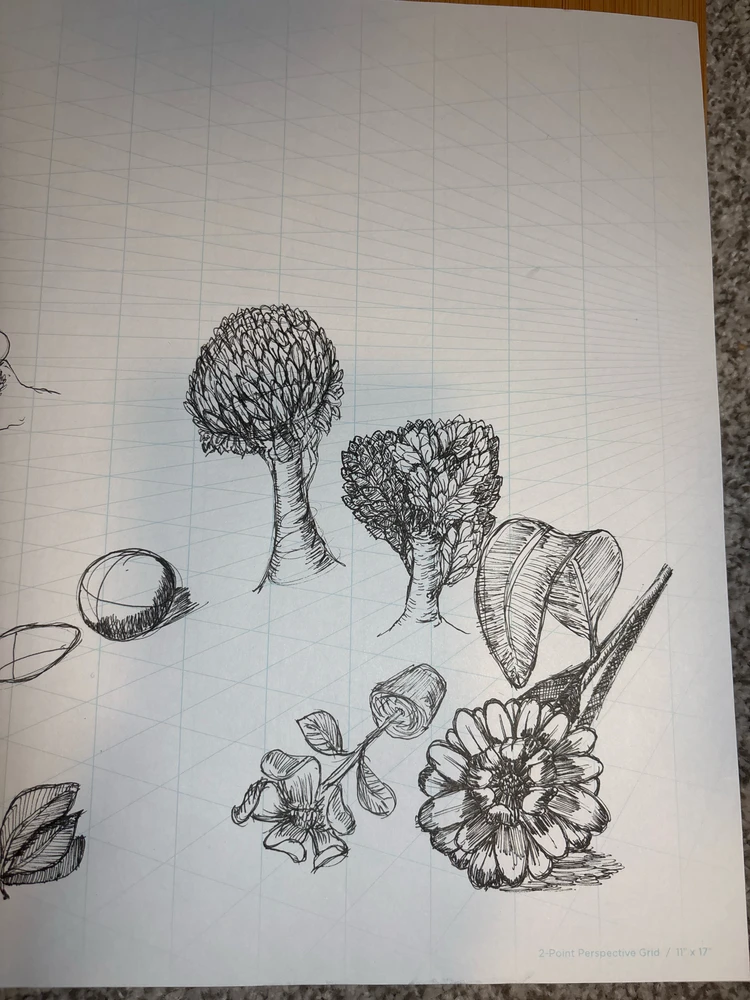 GIF uploaded by Anthony