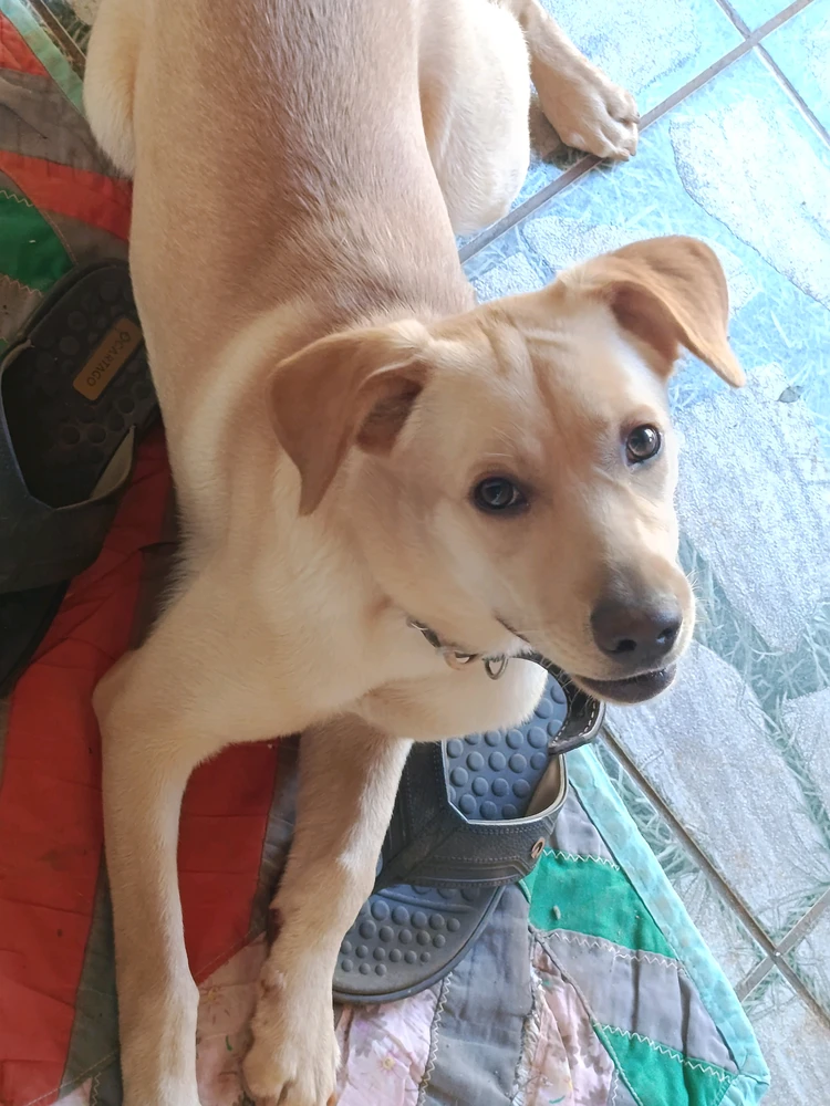 GIF uploaded by Eluna