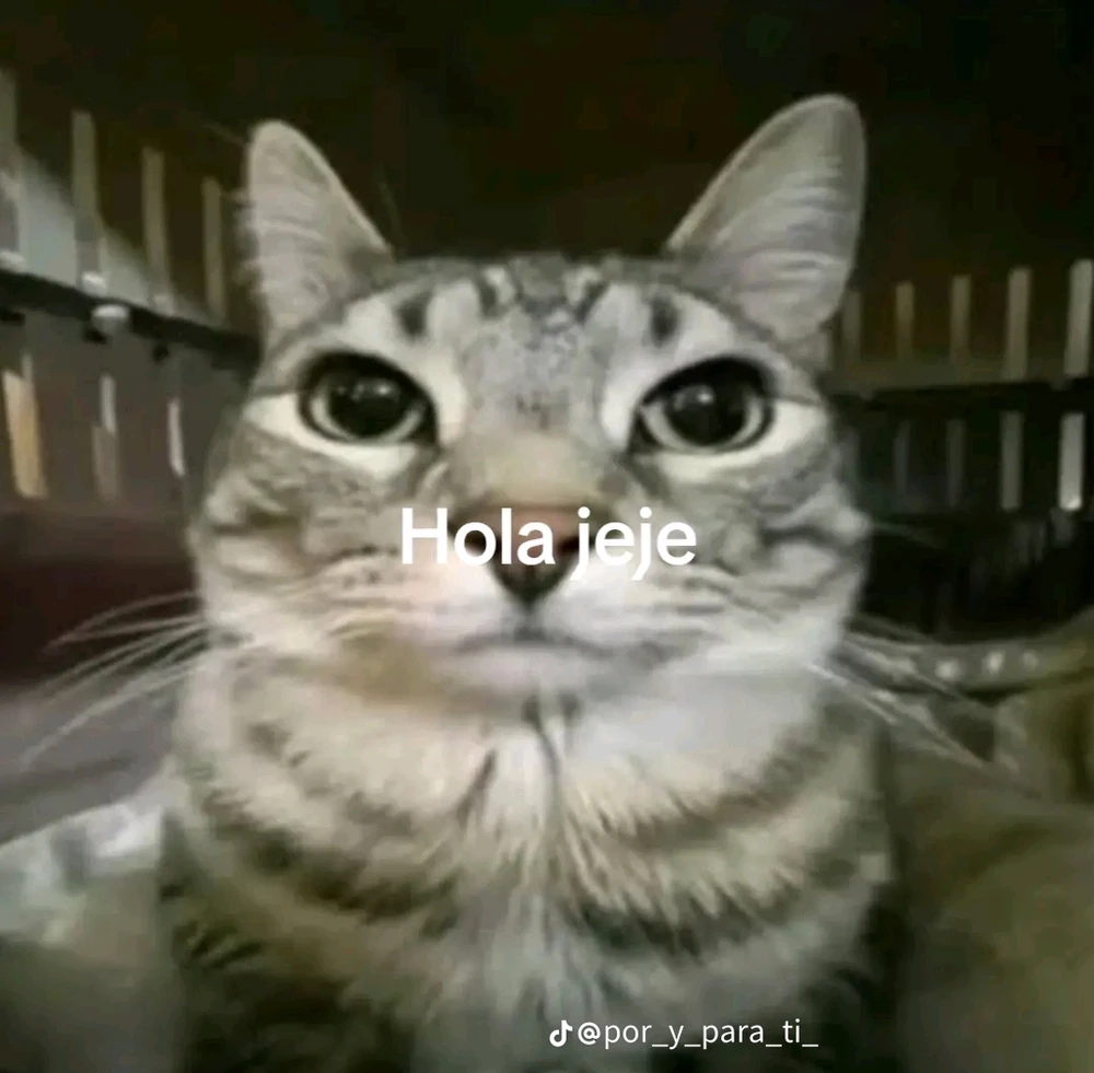 GIF subido por Mateo