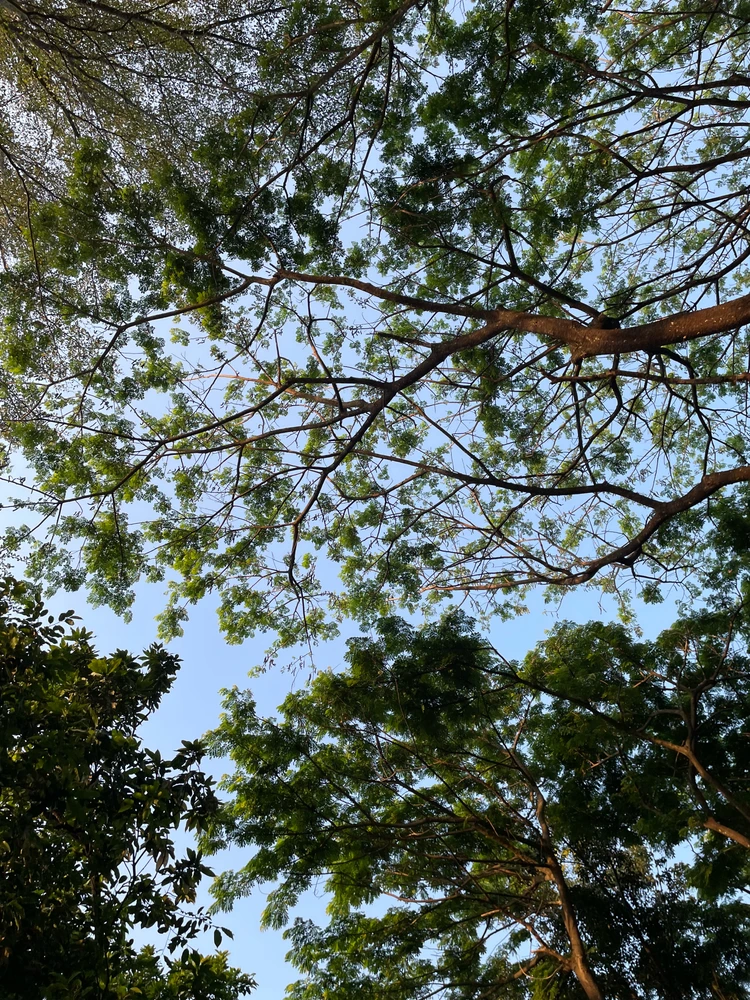 GIF uploaded by Widi