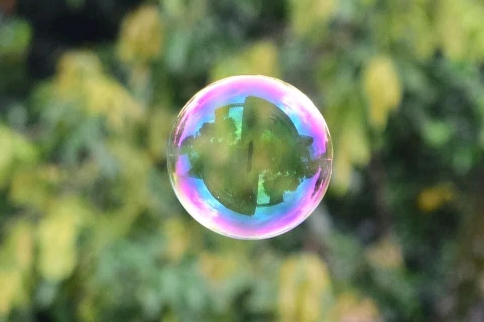 GIF uploaded by S