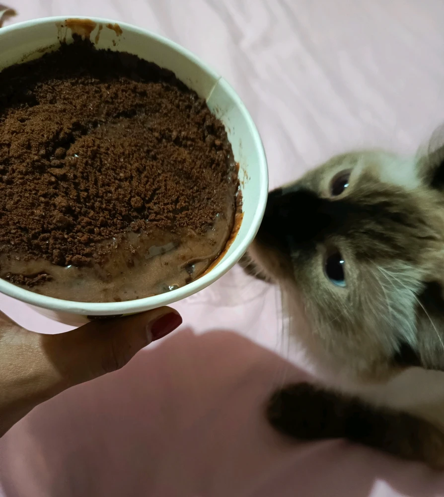 GIF uploaded by Gea