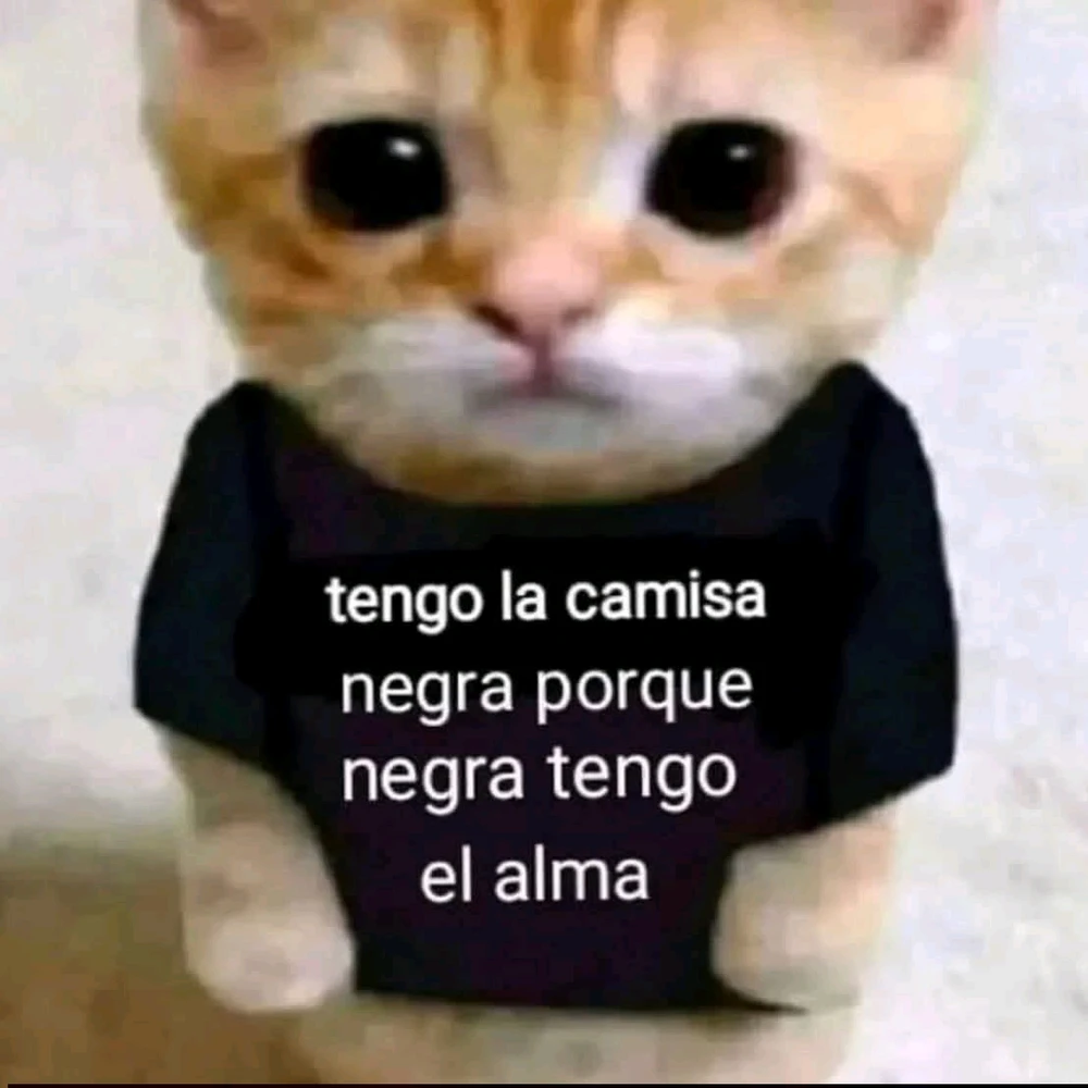 GIF subido por Eduardo