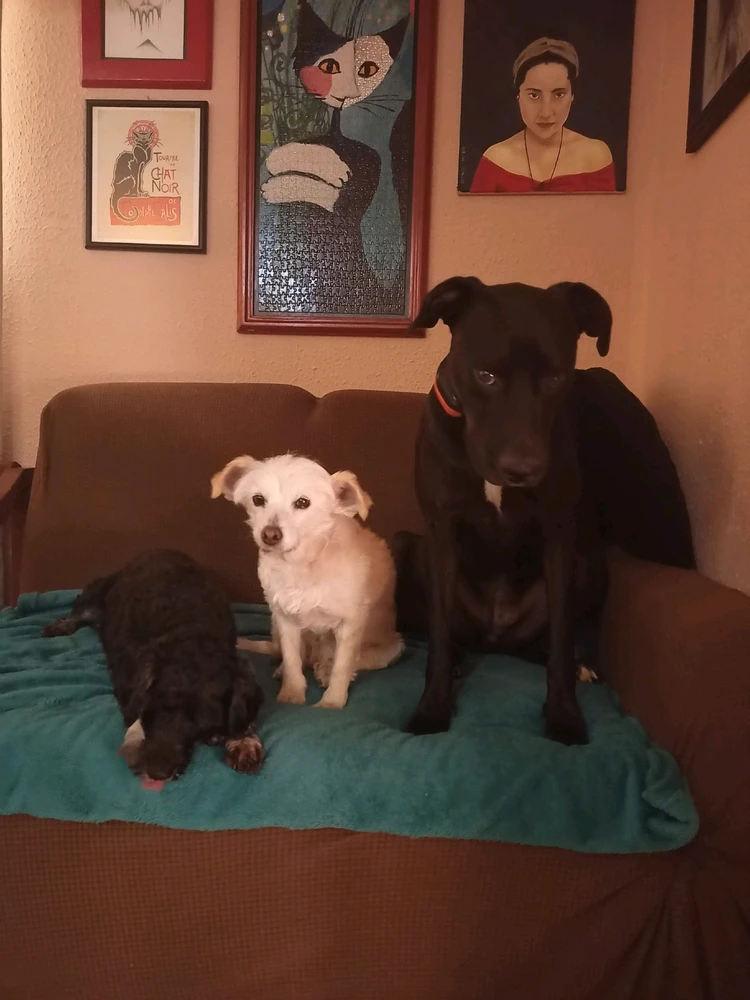 GIF uploaded by Chexa Montserrat