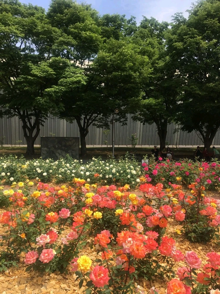 Image uploaded by Kunu