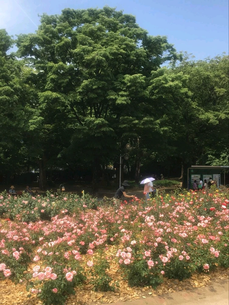 Image uploaded by Kunu