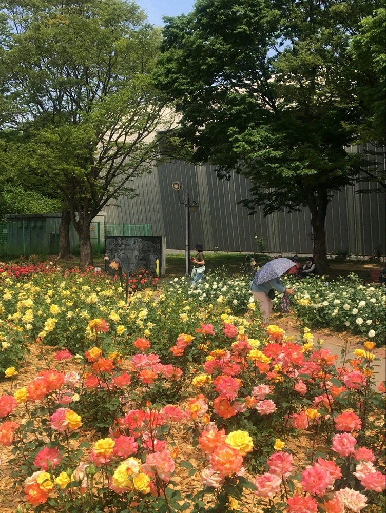 Image uploaded by Kunu