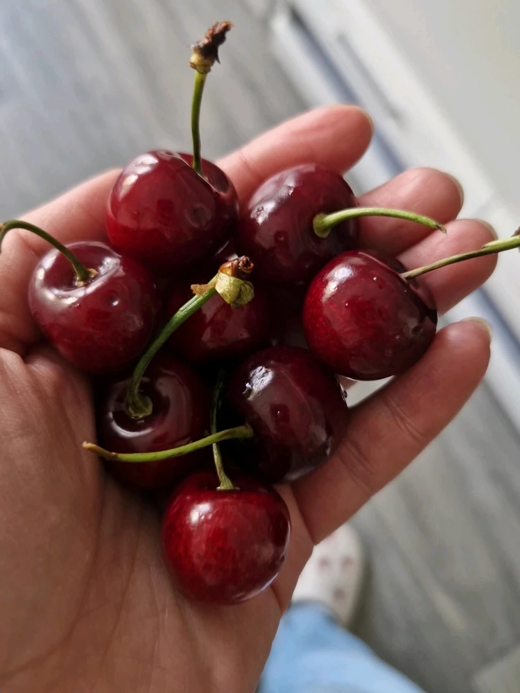 GIF hochgeladen von Jola