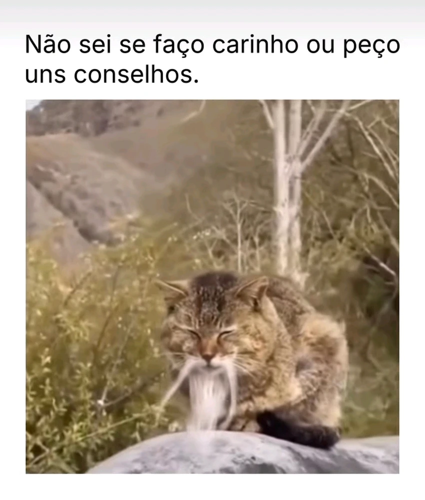 GIF enviado por Cinthia