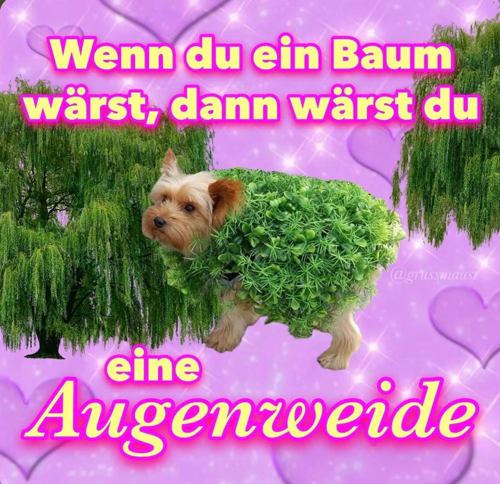 GIF hochgeladen von Tara