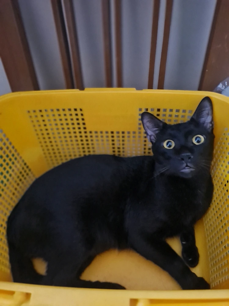 GIF uploaded by Mar