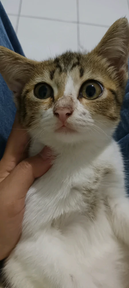 GIF uploaded by Mila