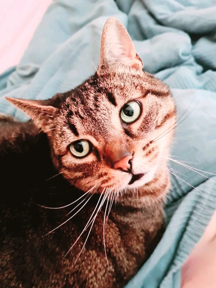 GIF hochgeladen von Doris
