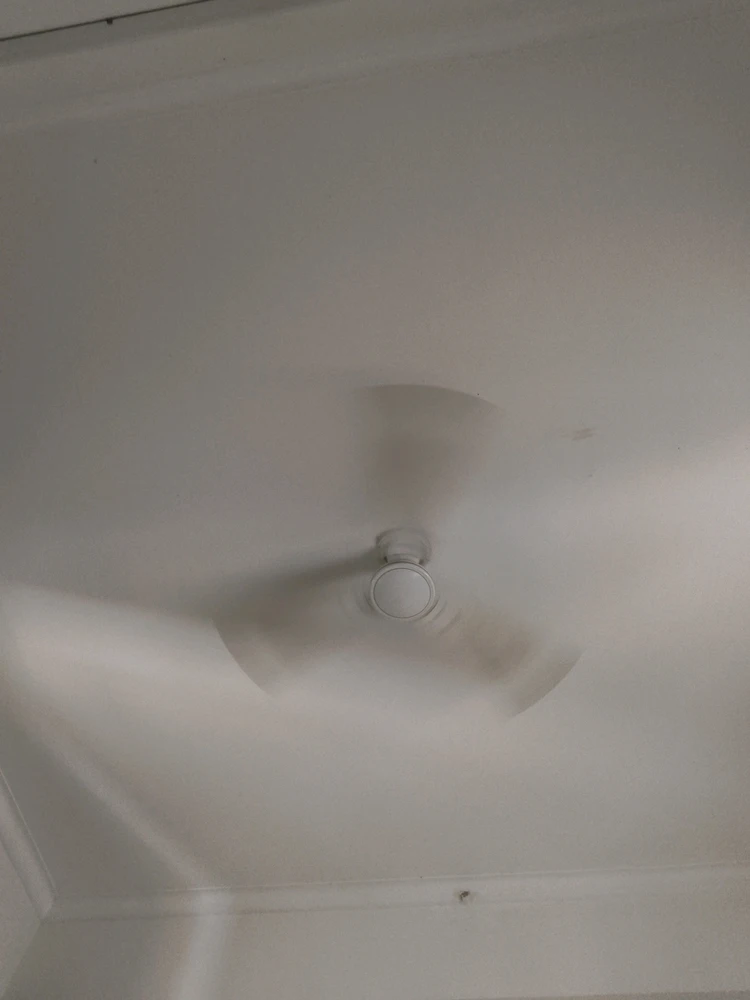 GIF uploaded by David singh